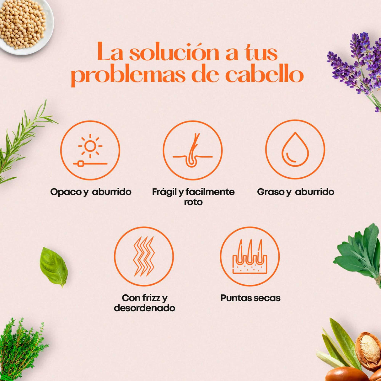 Don Cabello - Mascarilla Con Keratina Y Aceite De Argán Hidratación Intensiva - 1000 Ml - Cosmetics Afro Latino