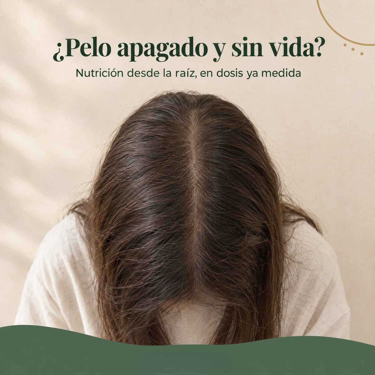 Don Cabello Ampollas Reestructurador Nutritivo con Aminoácidos 36 x 15 ml