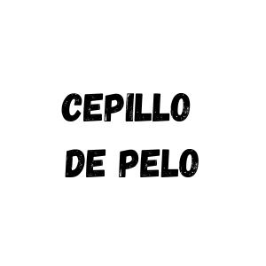 CEPILLO DE PELO