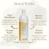 Champú Perfect Repair Glossco – 1000 ml