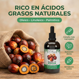 Don Cabello Pack Batana oil 3 Productos Champú Mascarilla y Aceite Nutrición y Brillo