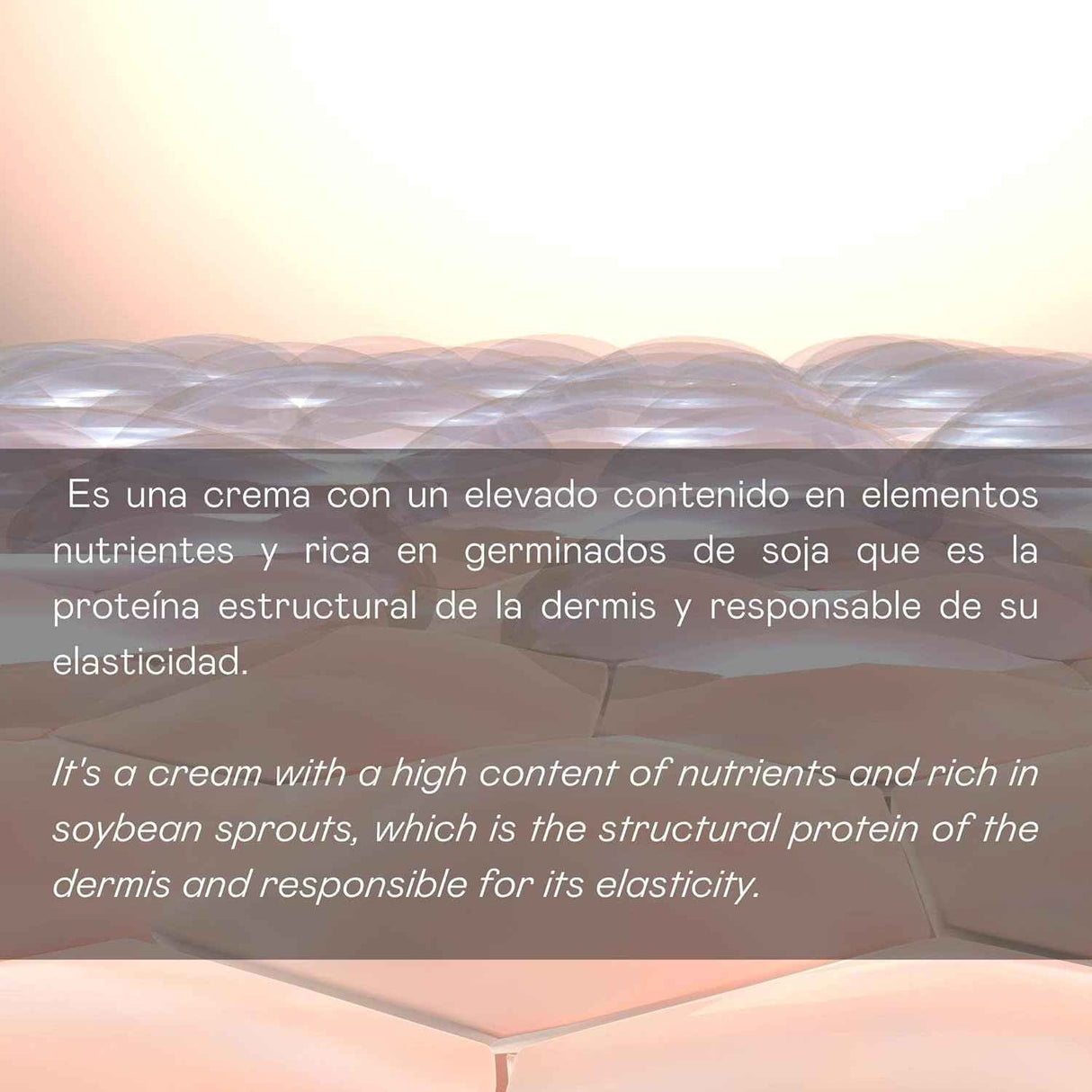 B D. BULLON Crema Facial Antiedad con Elastina 200 ml para Piel Madura de Valquer Laboratorios (Copy)