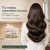 Pack Reparación Ajo – Cabello Seco y Dañado (Champú + Mascarilla) Don Cabello