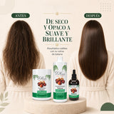 Pack Nutrición Profunda Batana – Cabello Extra Seco (Champú + Mascarilla + Aceite) Don Cabello