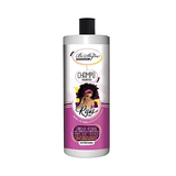 Champú Be’Shyne Rizos 1L – Hidratación, Nutrición y Control Perfecto