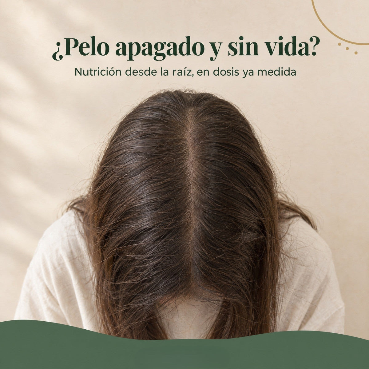 Don Cabello Ampollas Reestructurador Nutritivo con Aminoácidos 36 x 15 ml