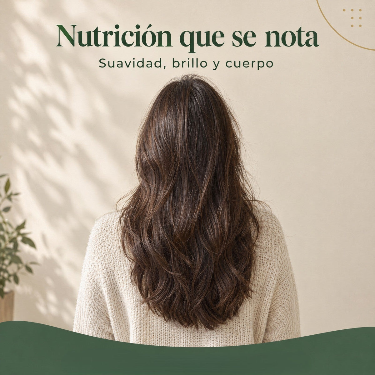 Don Cabello Ampollas Reestructurador Nutritivo con Aminoácidos 36 x 15 ml