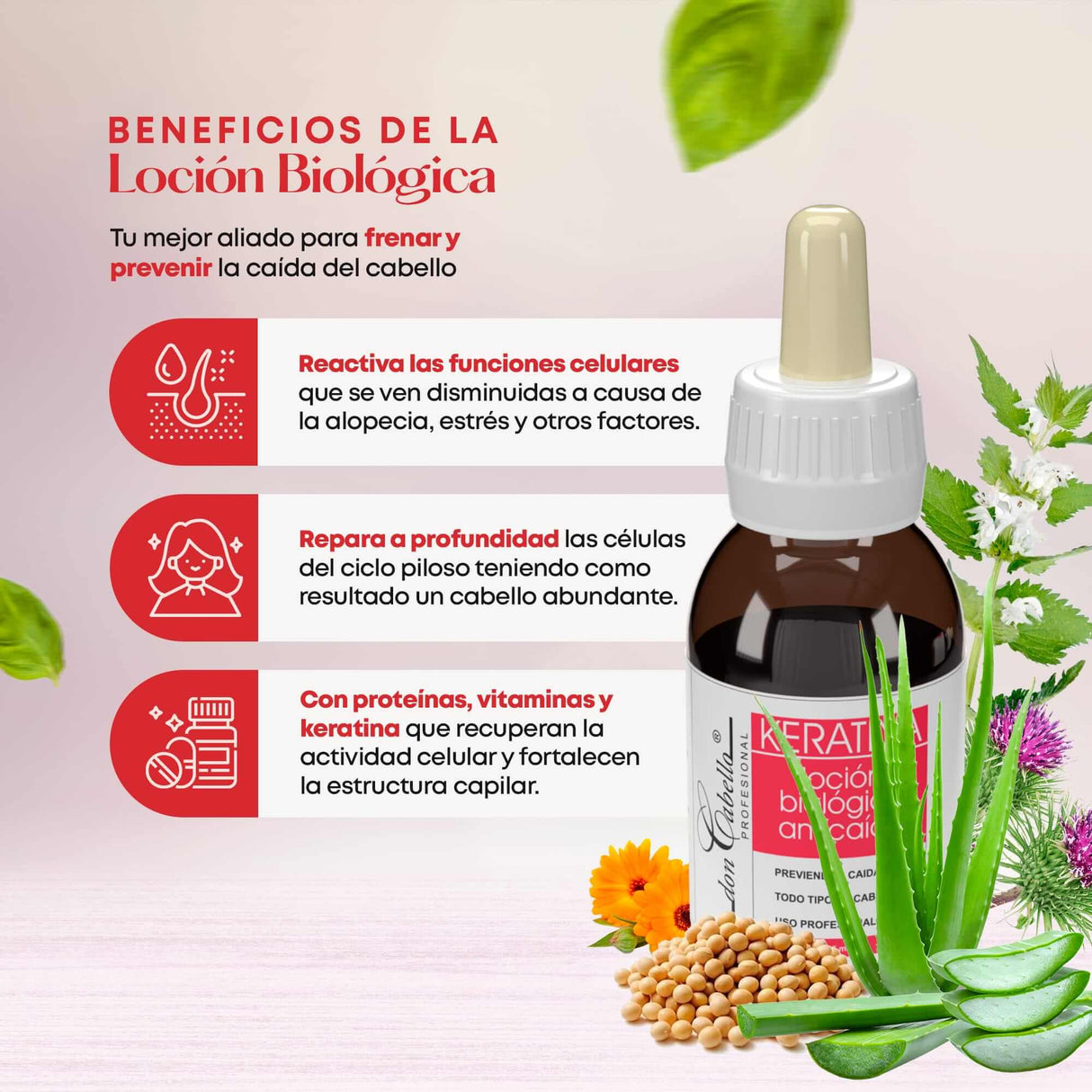 Pack Anticaída Fortalecedor Don Cabello - Cosmetics Afro Latino